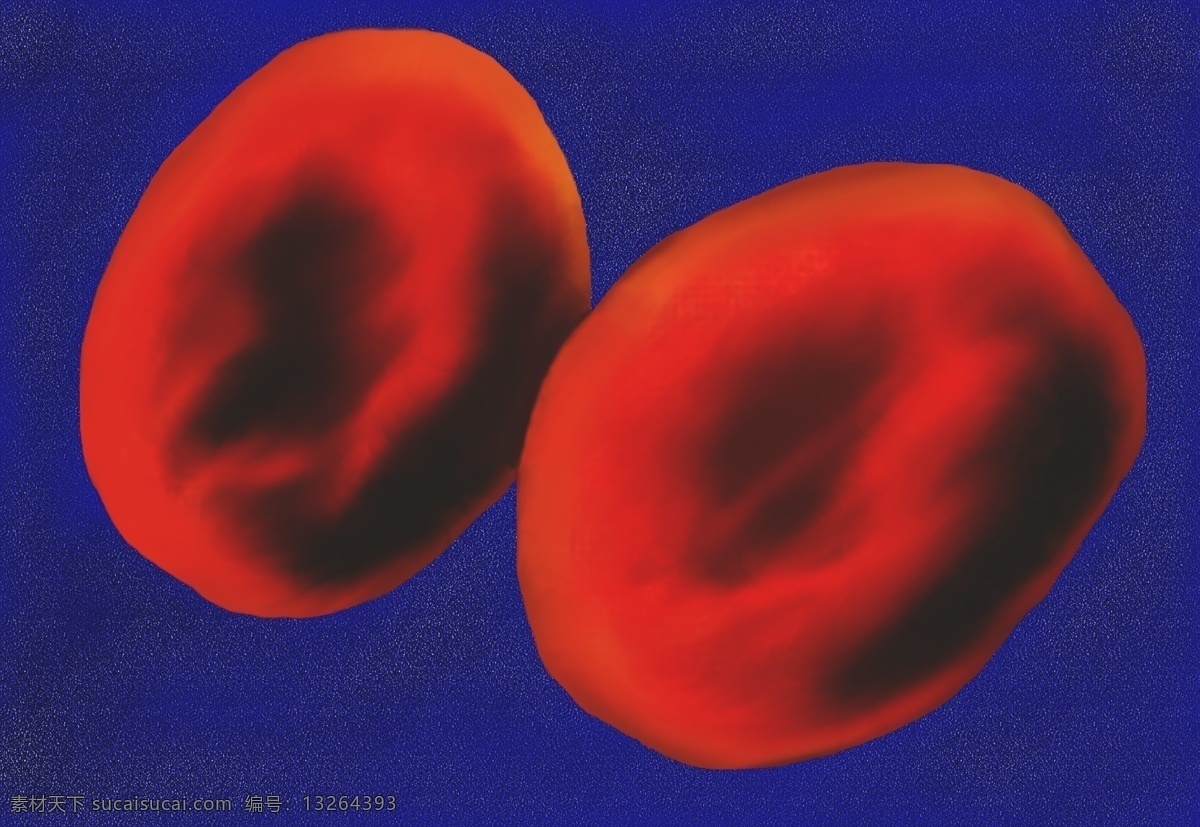 红细胞 红血球 生物世界