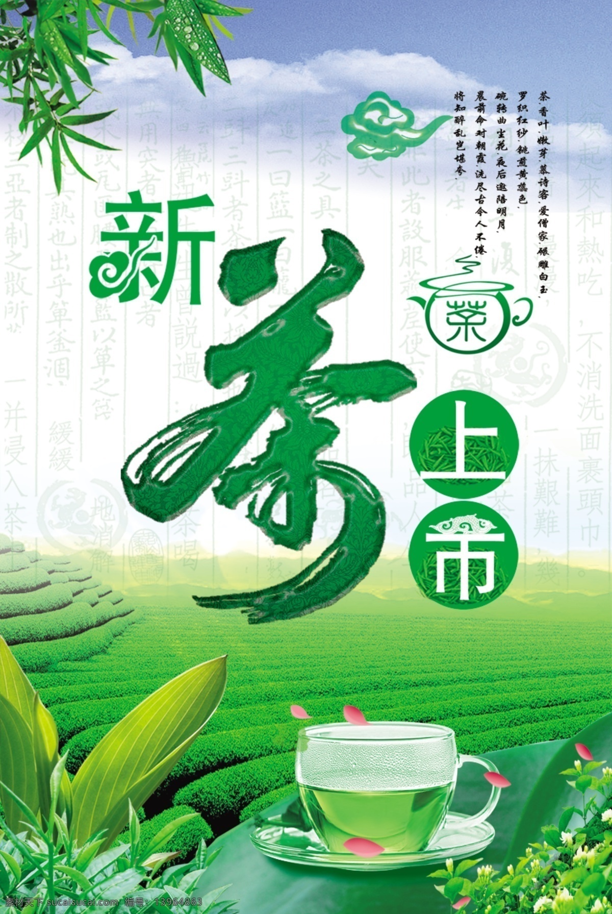 新茶上市 新茶 上市 绿色