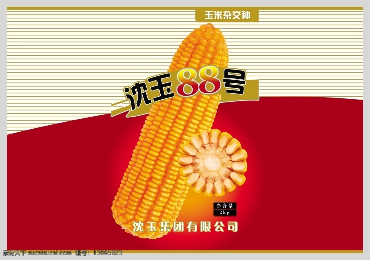 玉米种 玉米 包装 玉米芯 芯 轴 黄 种子 分层包装 分层 源文件