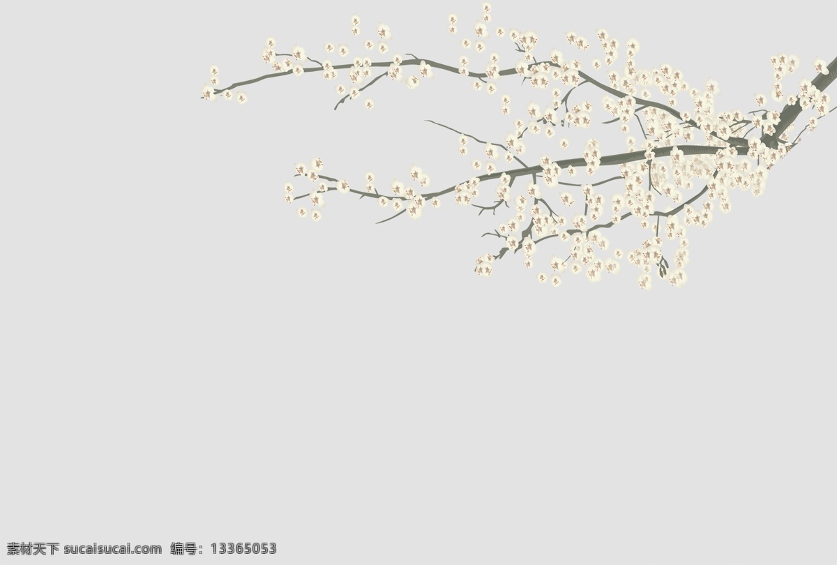工笔画 花 工笔 树枝 玉兰花 白花