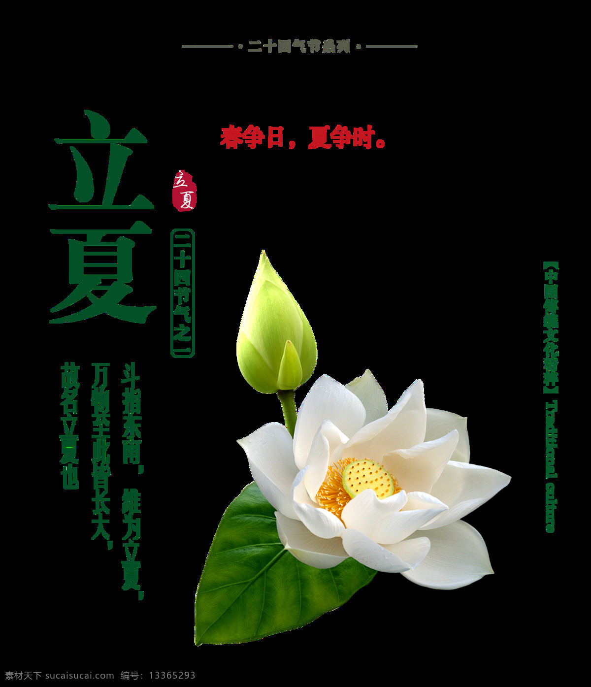 美丽 荷花 立夏 艺术 字体 荷叶 花苞 绿色字体 艺术字体 红色汉字 绿色汉字 节气元素