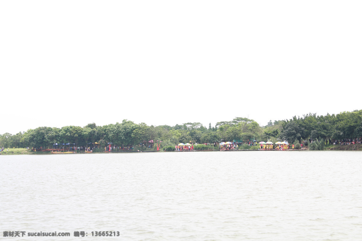 传统文化 端午 端午赛龙舟 湖 湖面 湖水 龙舟 民俗 赛 龙舟摄影 树林 树木 文化艺术 节日素材 端午节