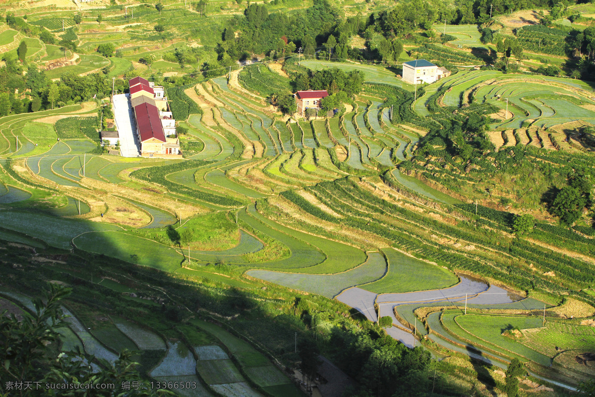 陕南稻田 摄影图 乡土 田园 风光 自然景观 山水风景