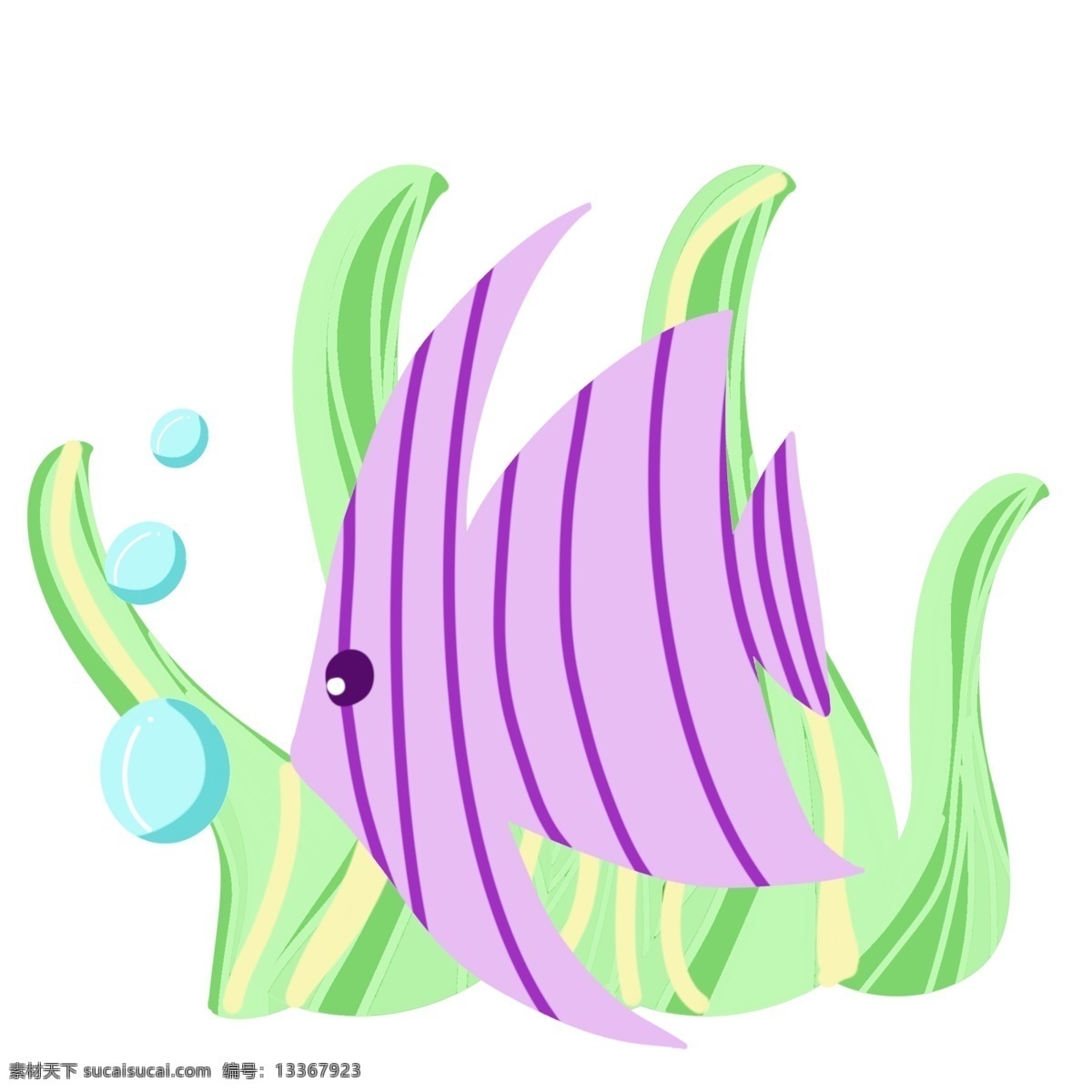 紫色 小鱼 海洋生物 生物