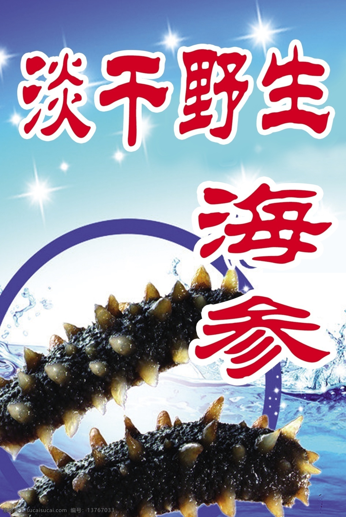 海参 野生 大海 白色