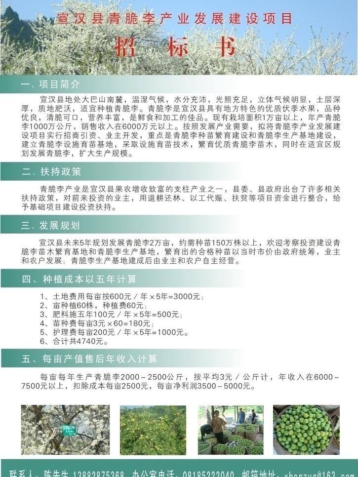 青 脆 李 公告 广告 水果 矢量 模板下载 青脆李公告 青脆李子 矢量图 日常生活