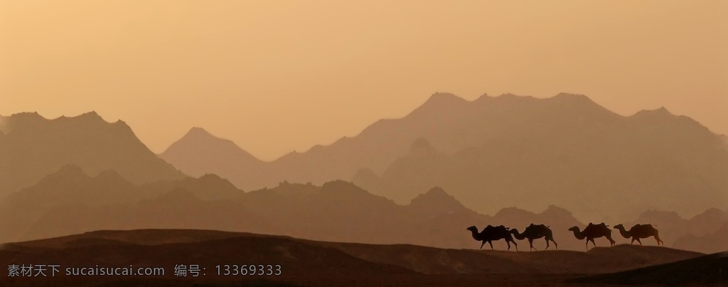 沙漠骆驼 驼队 骆驼 沙漠 沙丘 荒漠 自然风景美景 动物 骆驼队 骆驼运输 沙漠之舟 大漠 沙漠驼队 生物世界 家禽家畜