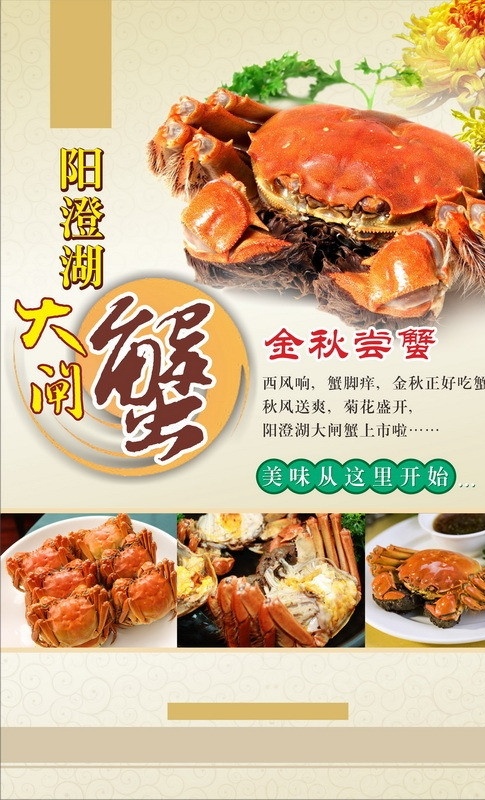 阳澄湖大闸蟹 阳澄湖 大闸蟹 大闸蟹上市啦 高清蟹 菊花 金秋尝蟹 矢量