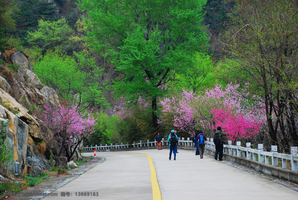 泰山桃花峪 泰山 泰山旅游 泰山风光 泰安 泰安旅游 泰山桃花浴 桃花浴 旅游摄影 国内旅游