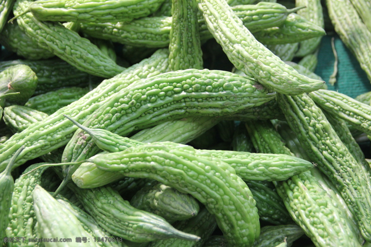 苦瓜 蔬菜 生物世界 营养