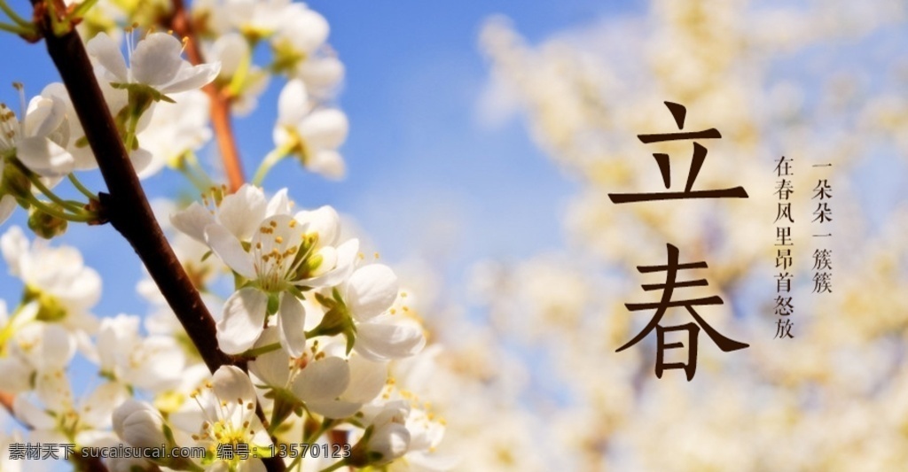 微信公众号图 微信 海报 模板 横板 展架 电商 吊旗 封面 公司 企业 商务 宣传 营销 活动 促销 公众号 公共号 微商 微店 banner 主图 时尚 高端 大气 简示简洁 行业 食品 汽车 洗车 二手 家纺 家居 美妆 化妆品 面膜 零食 特产 关注 折扣 赠送 红包 节日 福利 粉丝 聚粉 扫一扫 推广 分层