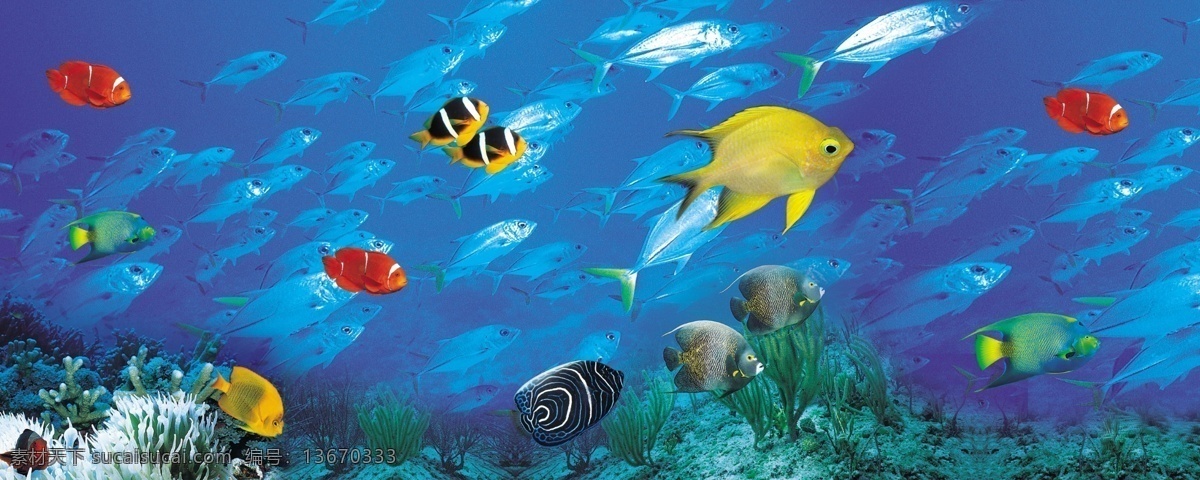 海底世界 海底 海水 鱼 海草 分层 源文件库