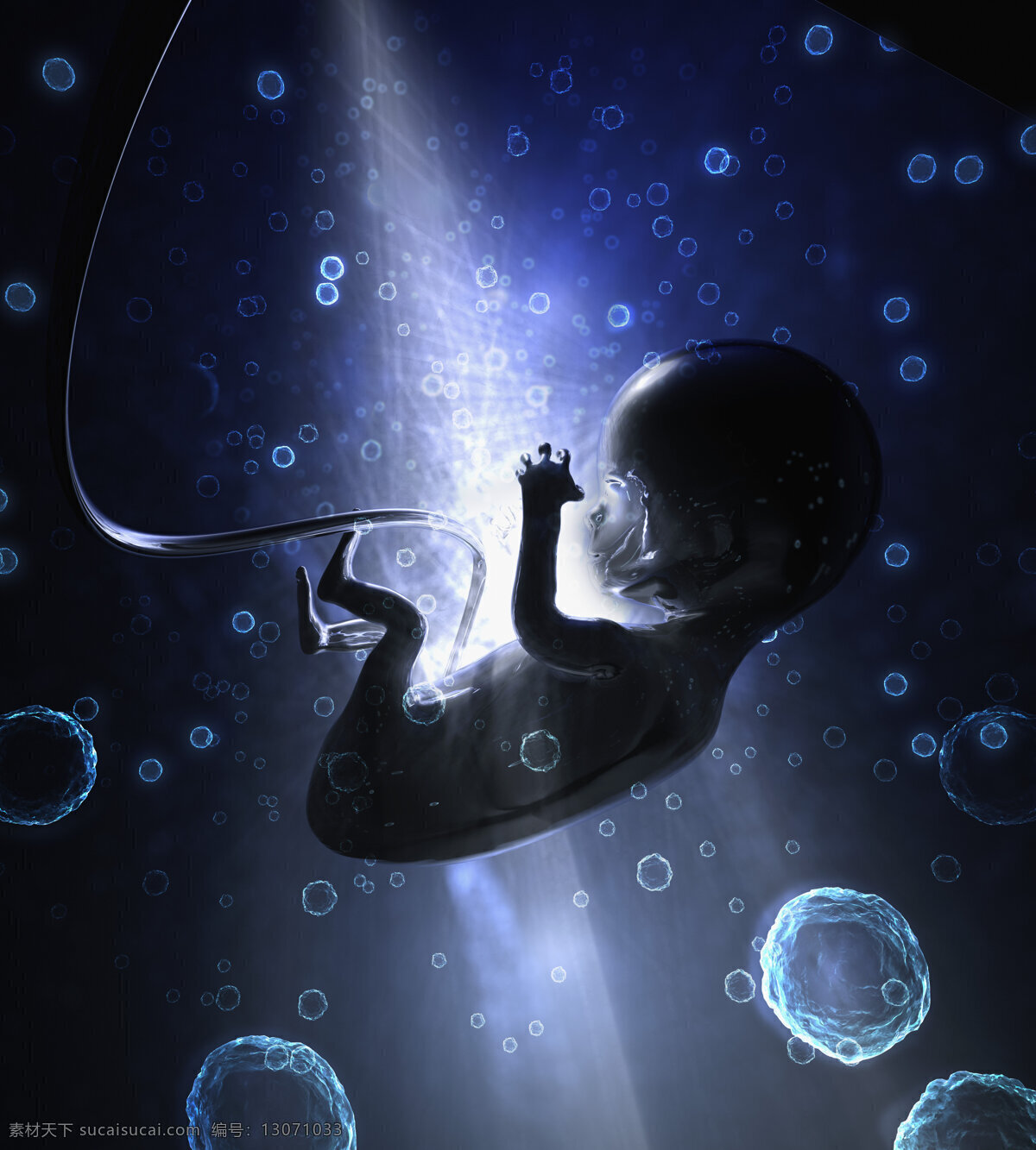 未来 科技 婴儿 海报 未来科技 高科技 科技海报 生命 孕育 梦幻背景 气泡 抽象 创意 高清图片 其他类别 现代科技