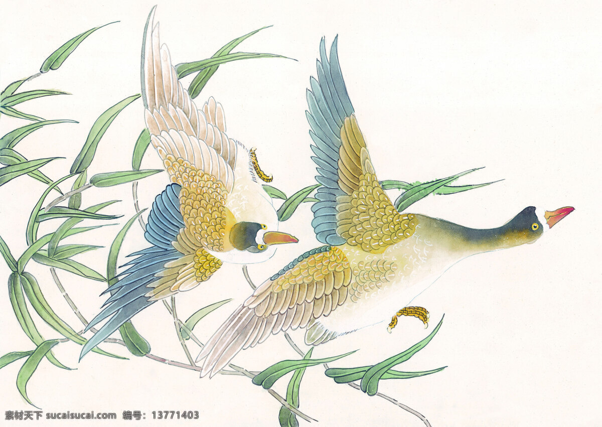 花鸟 国画 白描 工笔画 绘画 美术 泼墨 人物 水墨 文化艺术 花鸟艺术 写意 中国画 中国画艺术 装饰素材 室内装饰用图
