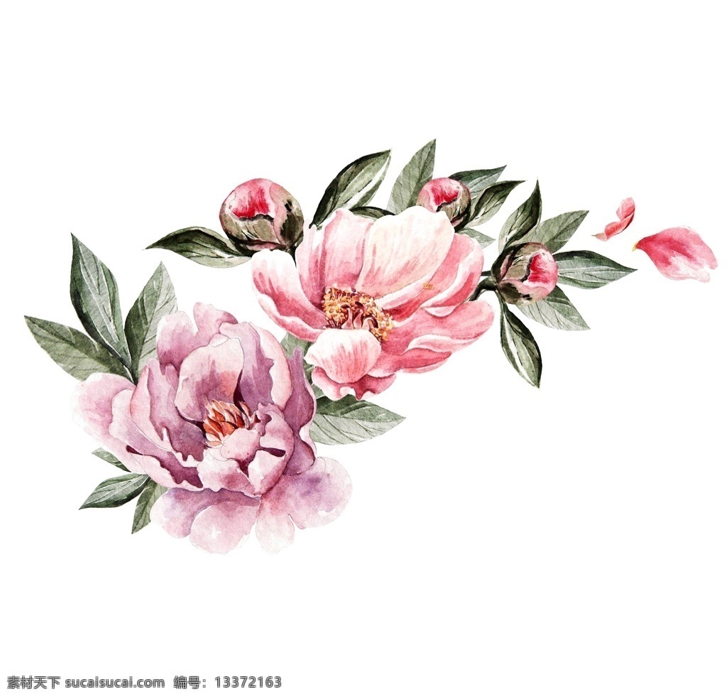 花图片 花朵 水彩花 手绘花 花 花花 手绘 水彩