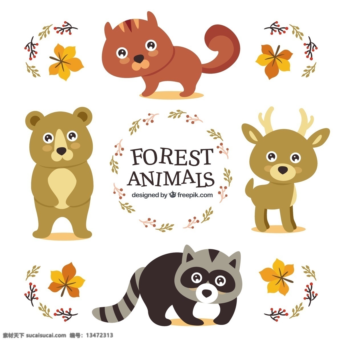 可爱 野生动物 明亮的眼睛 一方面 叶 动物 手绘 森林 叶子 熊的眼睛 画画 有趣 可爱的松鼠 明亮 绘制的 野生的 好的 浣熊 白色