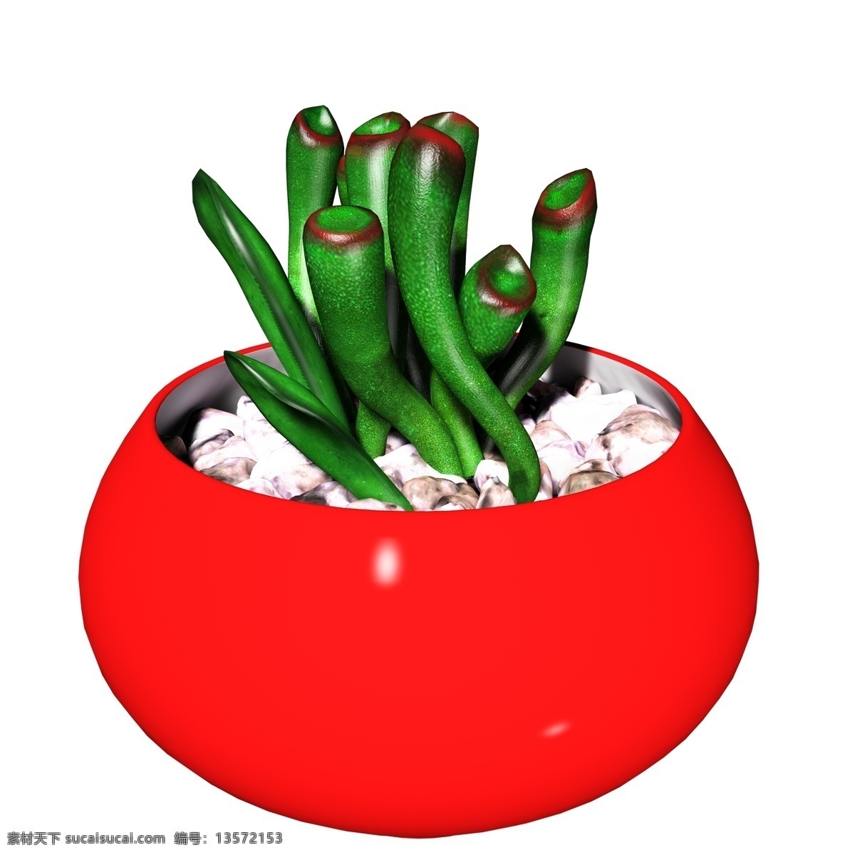 彩色 肉 植物 盆栽 立体 通用 元素 红色 绿色 多肉