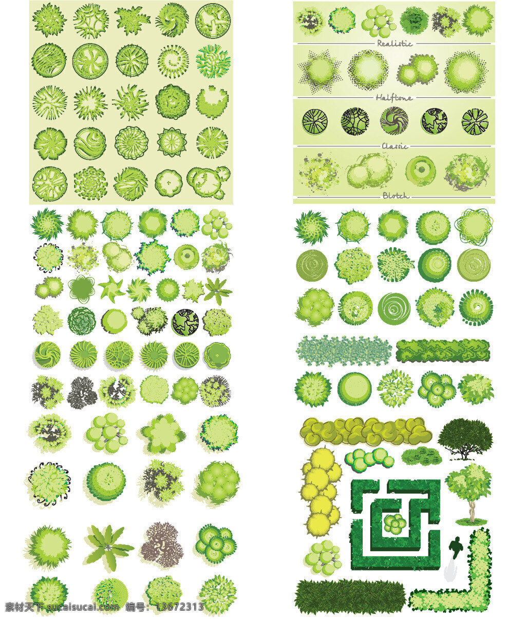 绿色的植物 园林 绿色 植物 花草 白色