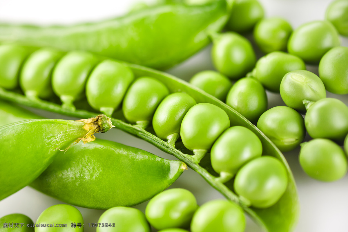 新鲜 豌豆 摄影图片 豆角 新鲜豌豆 新鲜蔬菜 豌豆摄影 水果蔬菜 餐饮美食 绿色