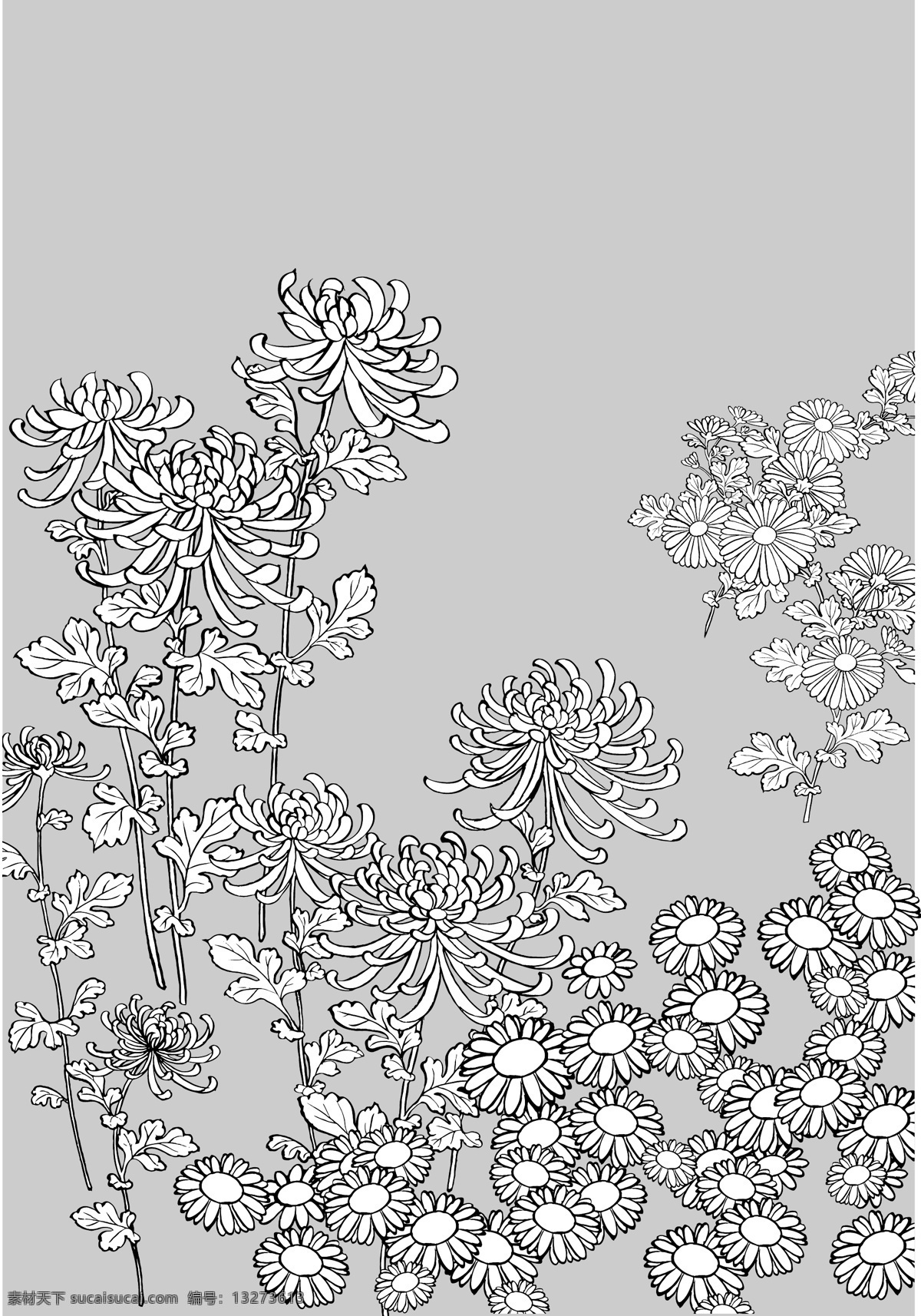 矢量 线 绘制 flowers 野 菊花 花卉 绘画 野生 其他载体 矢量图 其他矢量图