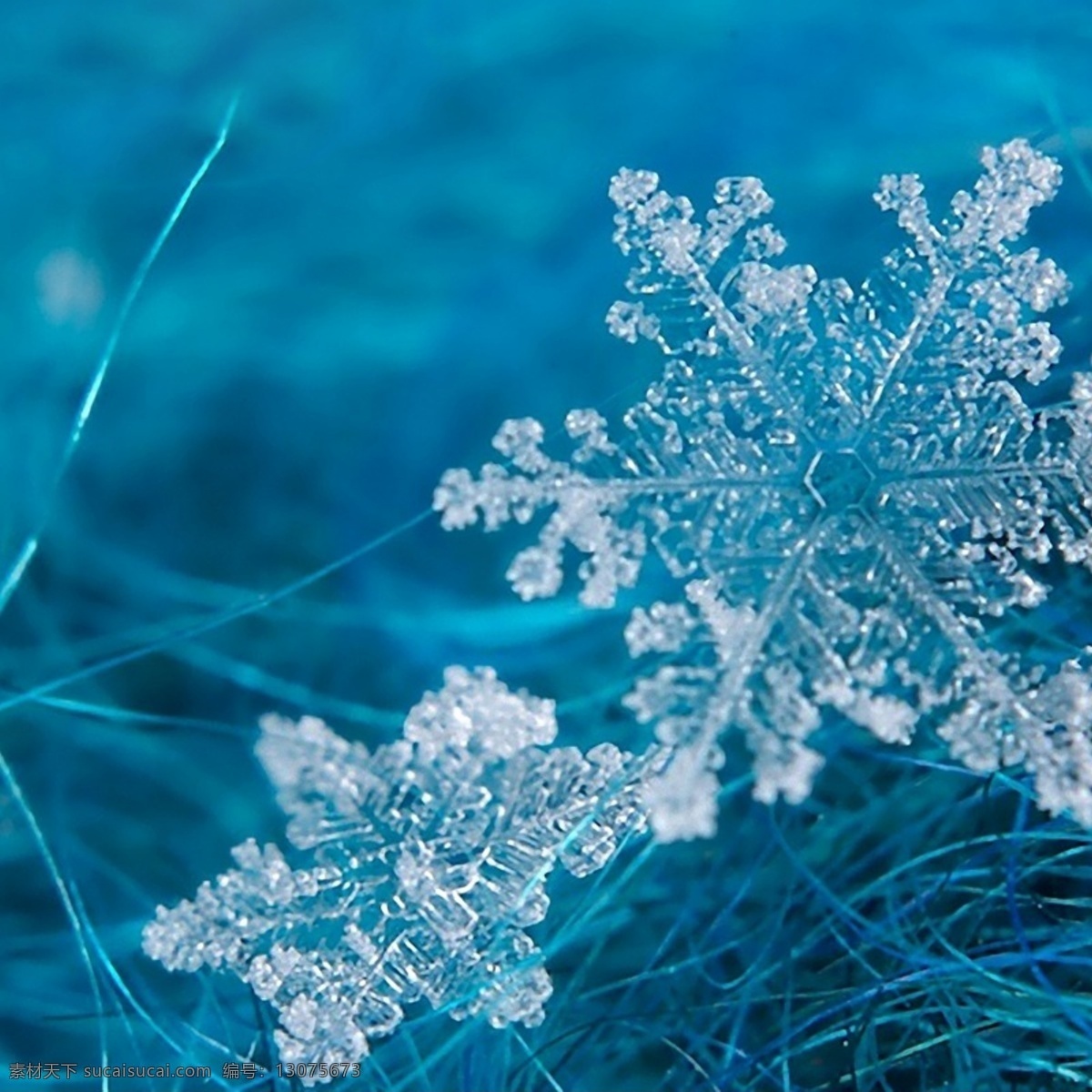 雪花主图 雪花 冬天 风景 青色 天蓝色