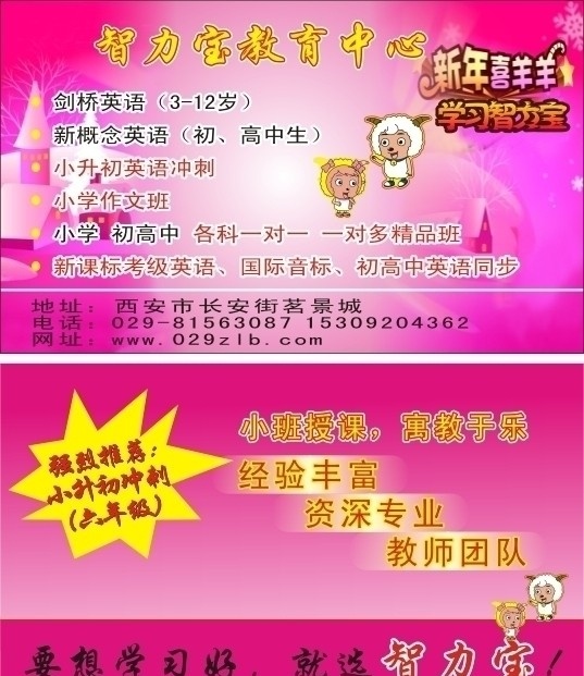 智力宝 智利宝 学校 开学 招生 名片 卡片 模板 名片卡片 矢量