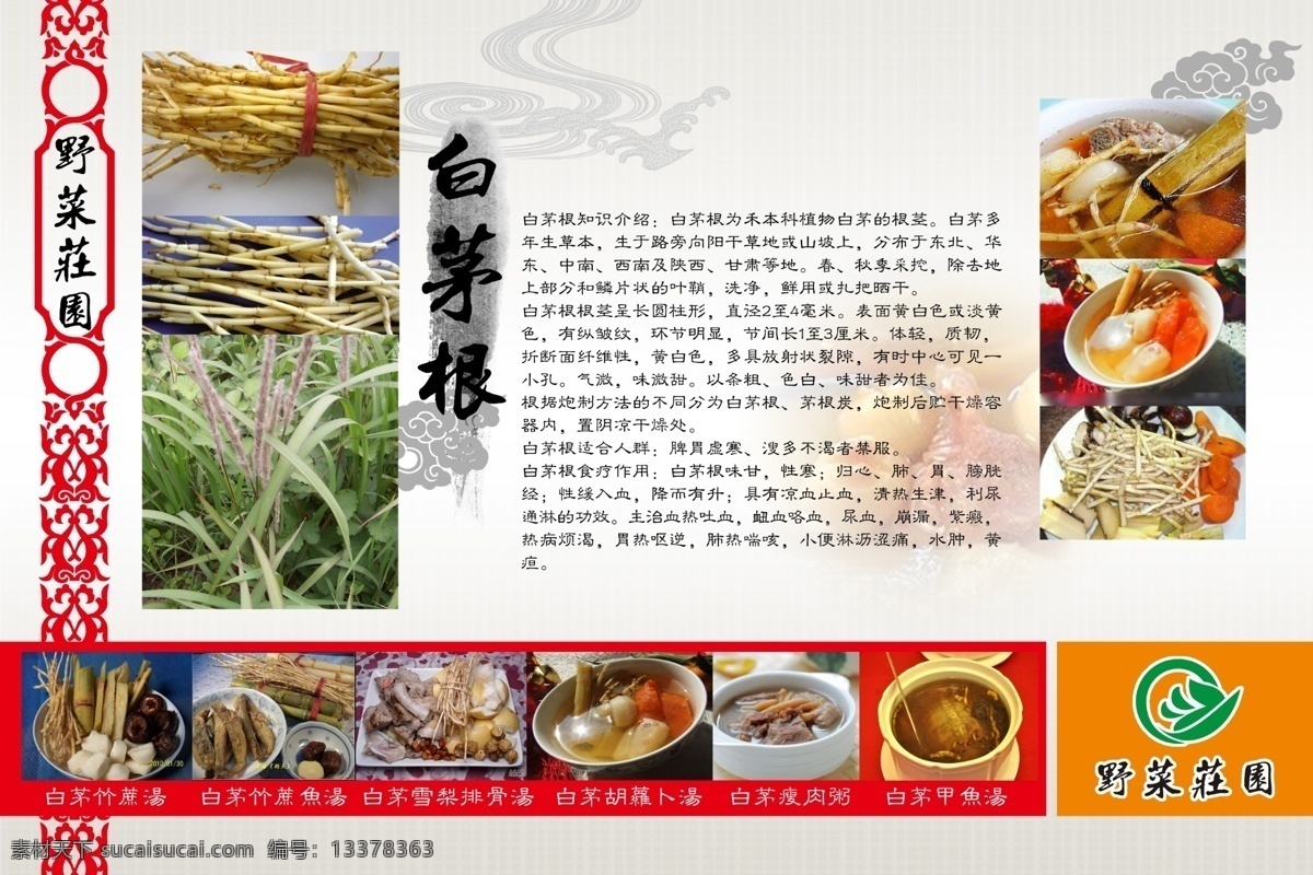 野菜吃法 野菜 菜品 讲解 水墨 花纹 白茅根 白花菜 莲