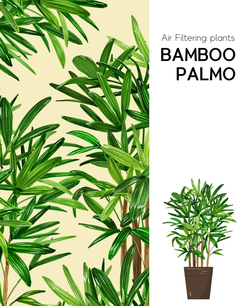 手绘植物 手绘 植物 绿叶 龟背竹 散尾葵 树叶 盆栽 发财树 马蹄莲 水彩 amp 绘画 分层