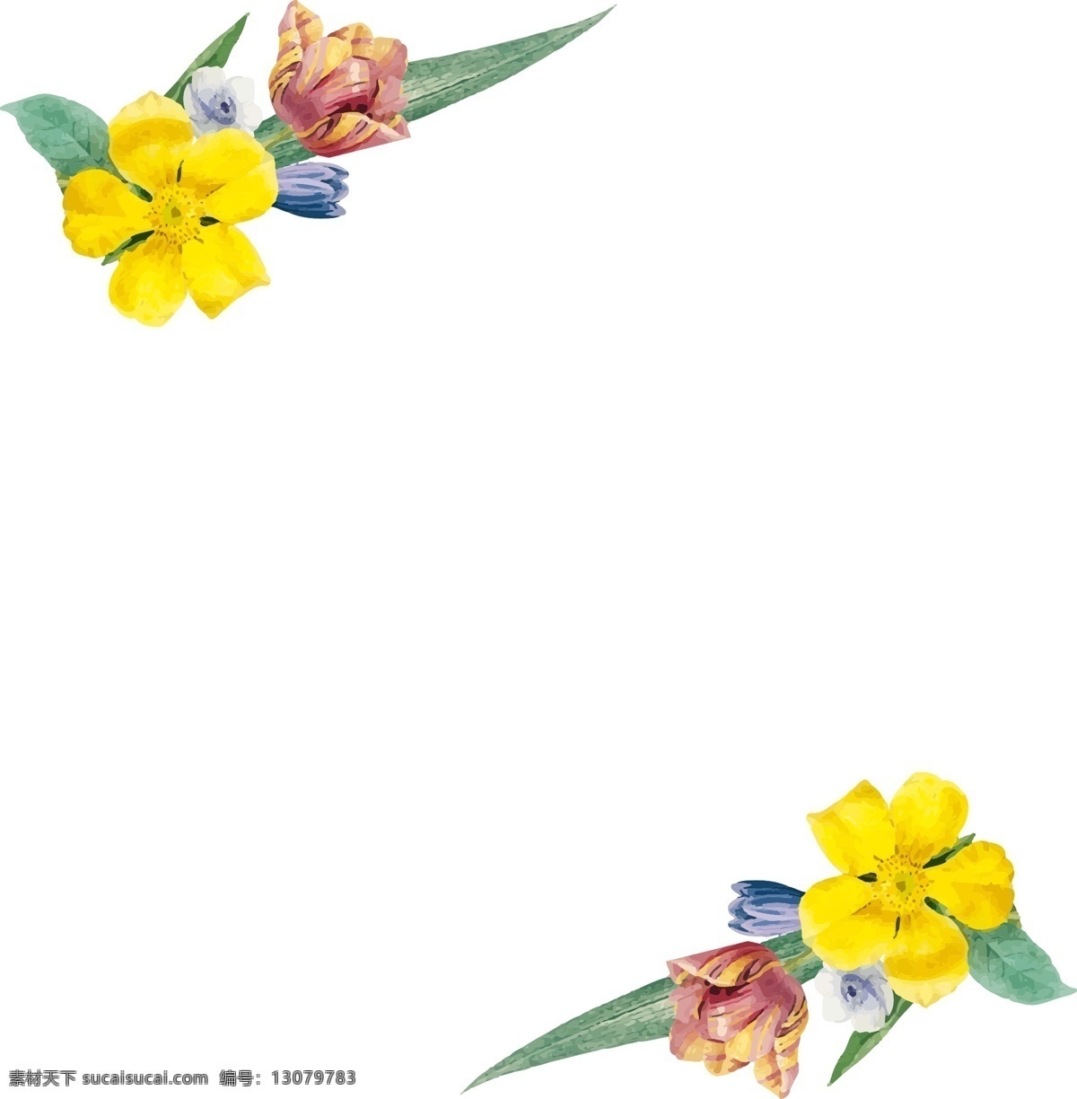 边框 花卉 婚礼 矢量 元素