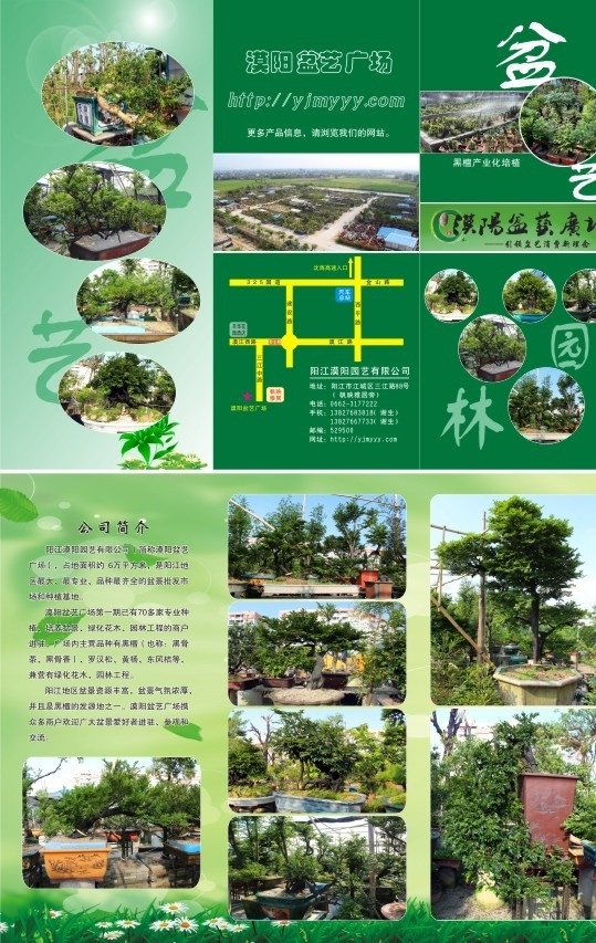 盆艺三折页 盆艺折页 盆景折页 园林折页 盆景 园林 矢量