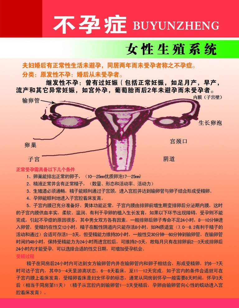计生 不孕症 展板 计生保健 不孕不育 医院展板 女性 生殖 系统 图 女性生殖系统 展板模板 广告设计模板 源文件