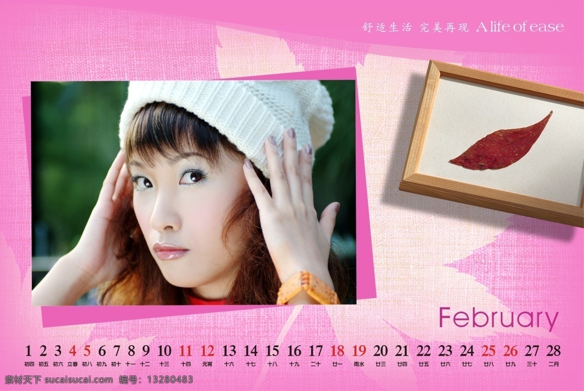 2009 年 最新 扇形 相册 历 挂历 花纹 全家 日历 水墨 台历 竹子 一家团圆 psd源文件