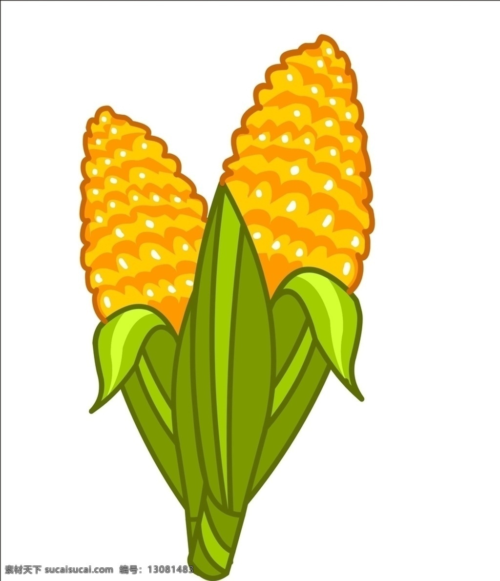 玉米设计 玉米矢量图 玉米图案 矢量玉米