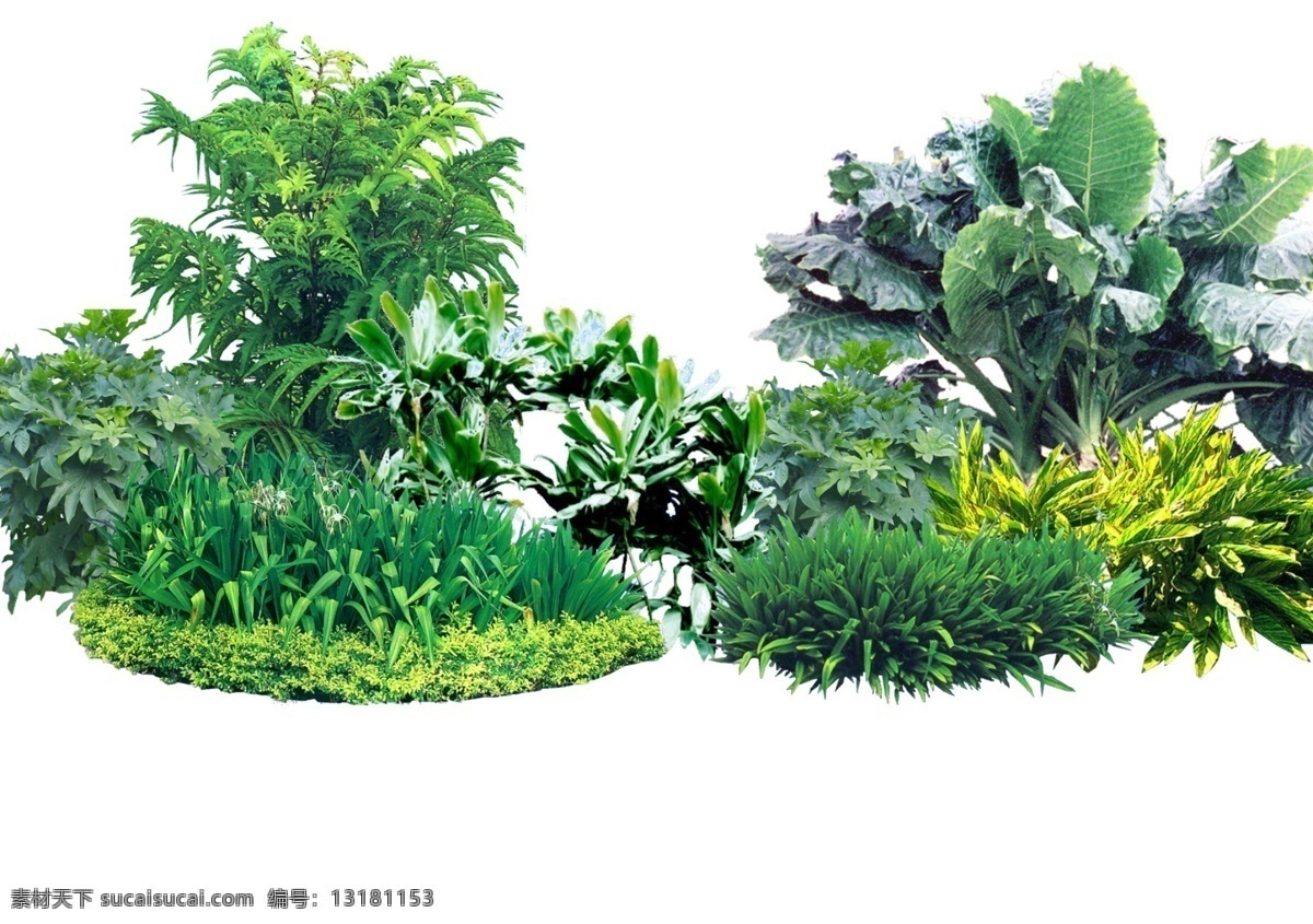 绿叶 芭蕉 草丛 立面素材 分层 源文件