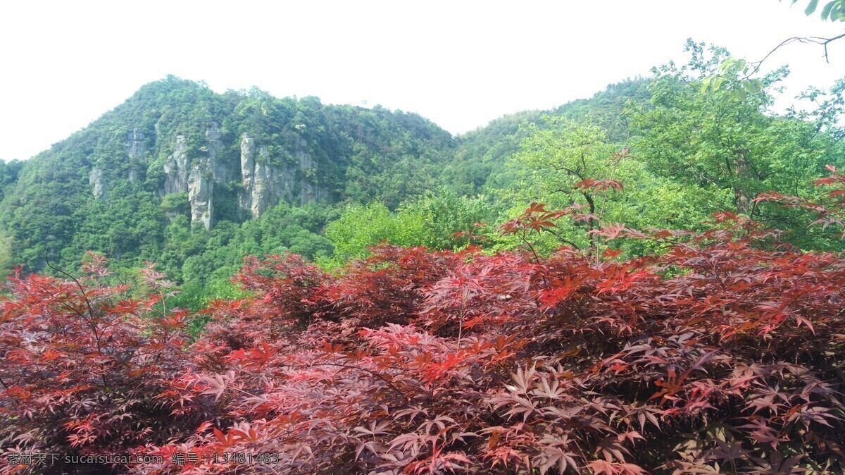 丹山赤水 旅游 风景 山水 图片相册 旅游摄影 自然风景