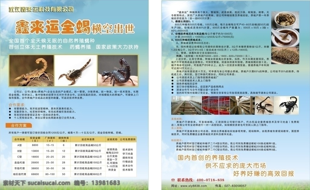 蝎子加盟传单 蝎子 加盟 蓝色 蝎子养殖 草地 dm宣传单 矢量