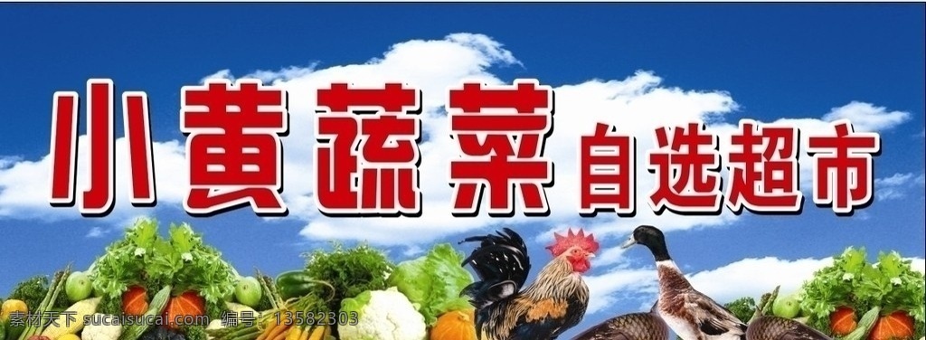 素菜 自选 超市 门 头 蔬菜 水果 鸡鸭鱼肉等 矢量