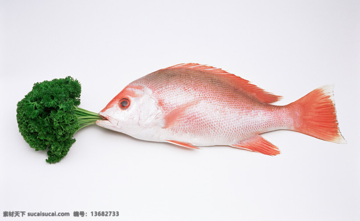 鲜鱼 海洋生物 健康 生物 生物世界 营养 鱼类 生鱼
