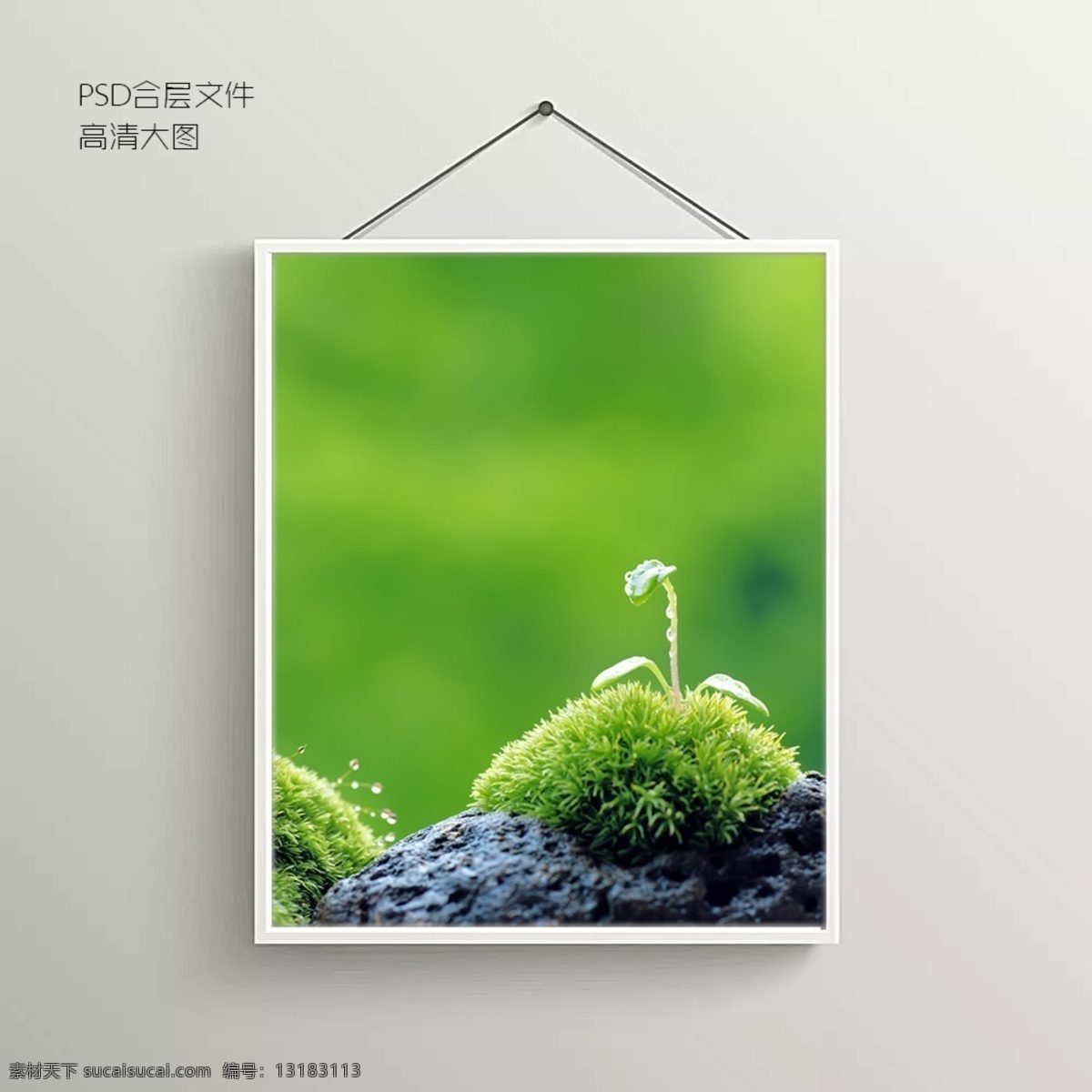 发芽 种子 无 框 装饰画 青芽 背景图 抽象背景图 室内背景图 玄关 装饰 装饰设计 风景 中堂画 室内装饰画 挂画 墙画 壁画 年画 万年历画