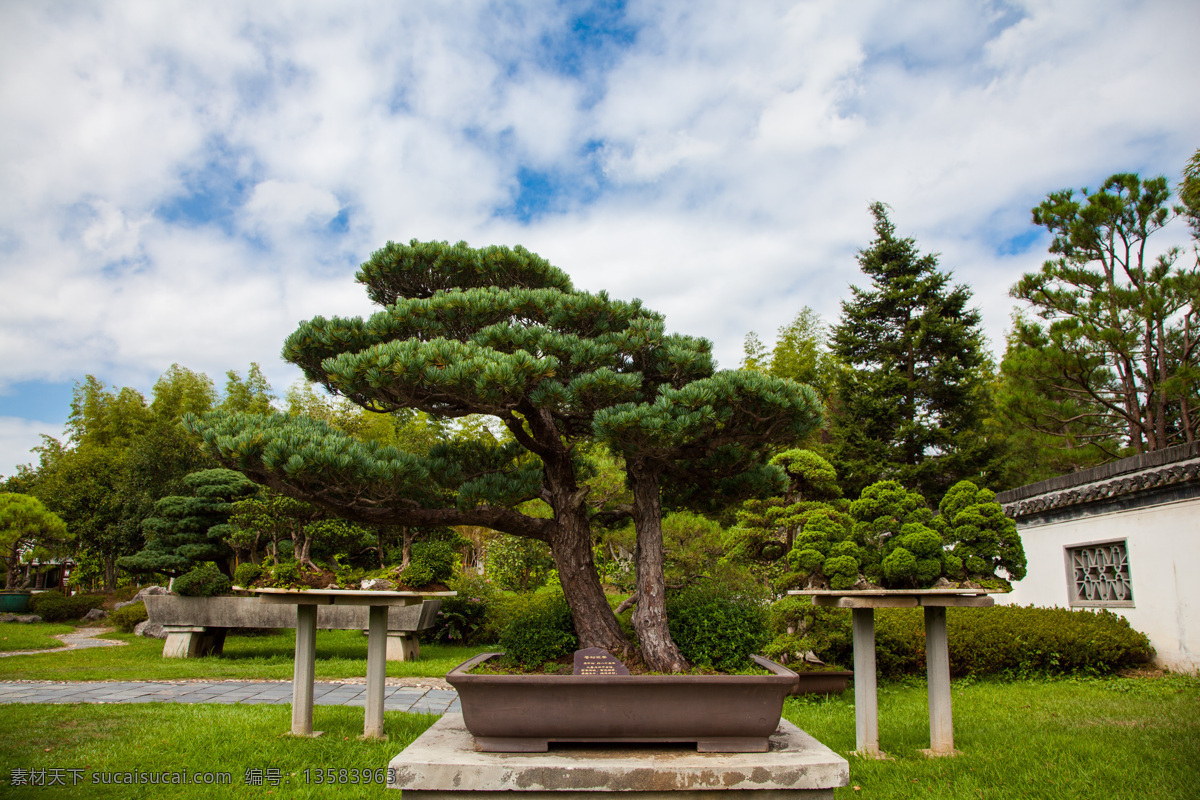 鲍家花园 鲍启运 私家花园 最大私家园林 徽派盆景 歙县 棠樾村 5a 古建筑摄影 安徽 黄山市 黄山 旅游风光摄影 旅游摄影 国内旅游