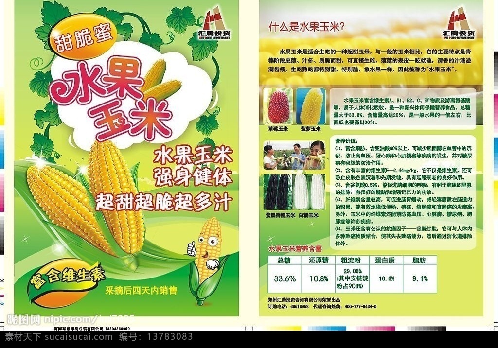 水果 玉米 宣传页 水果玉米 卡通玉米 彩页 矢量图库