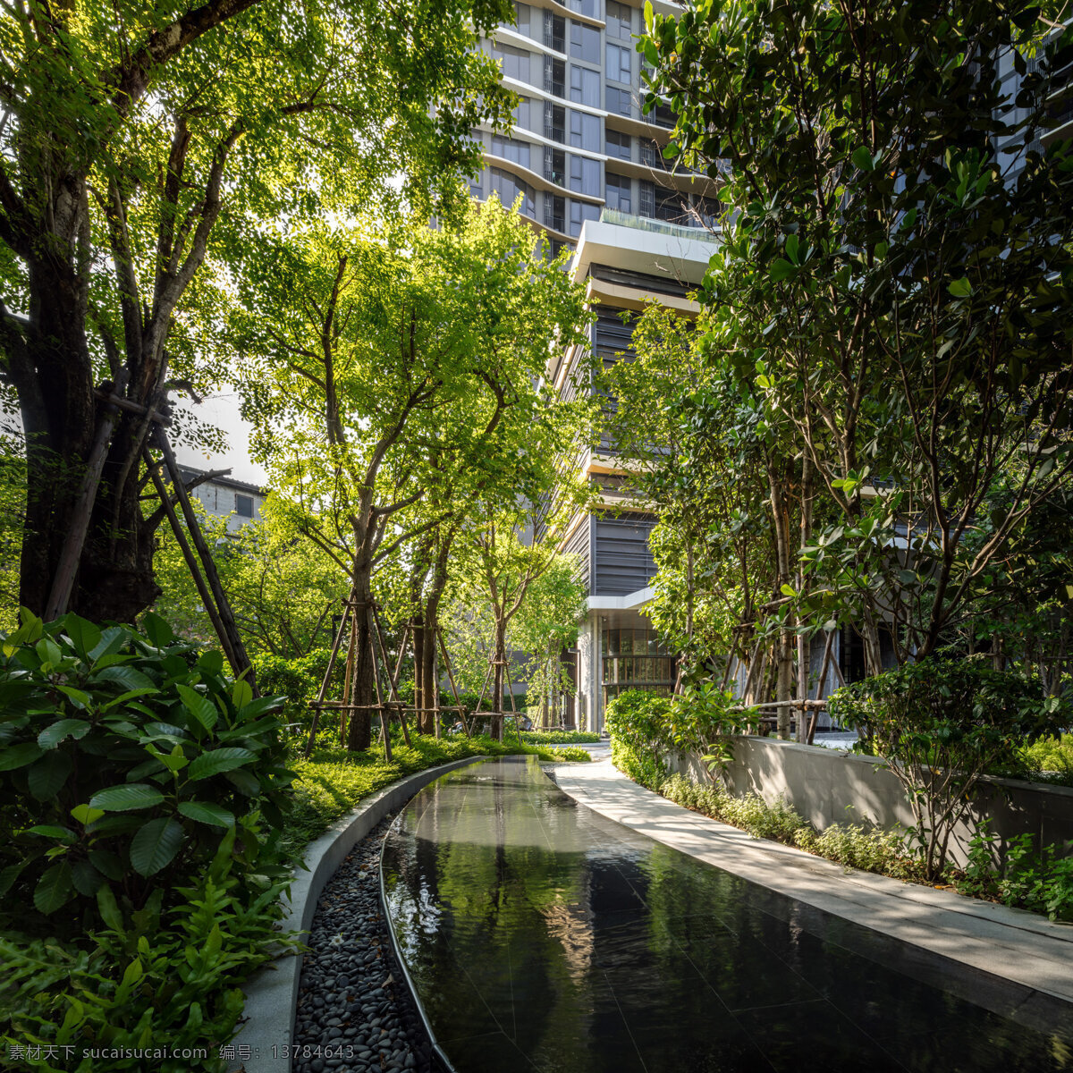 小区 景观 水景 步道 建筑 房地产 幽静 生活百科 生活素材