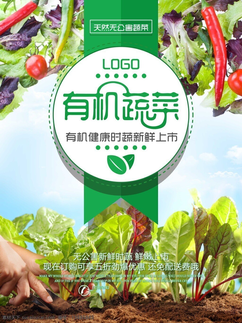 无公害 有机 蔬菜 新鲜 上市 海报 模版 绿色 有机蔬菜海报 有机蔬菜 超市 展板 健康 绿色蔬菜 新鲜蔬菜