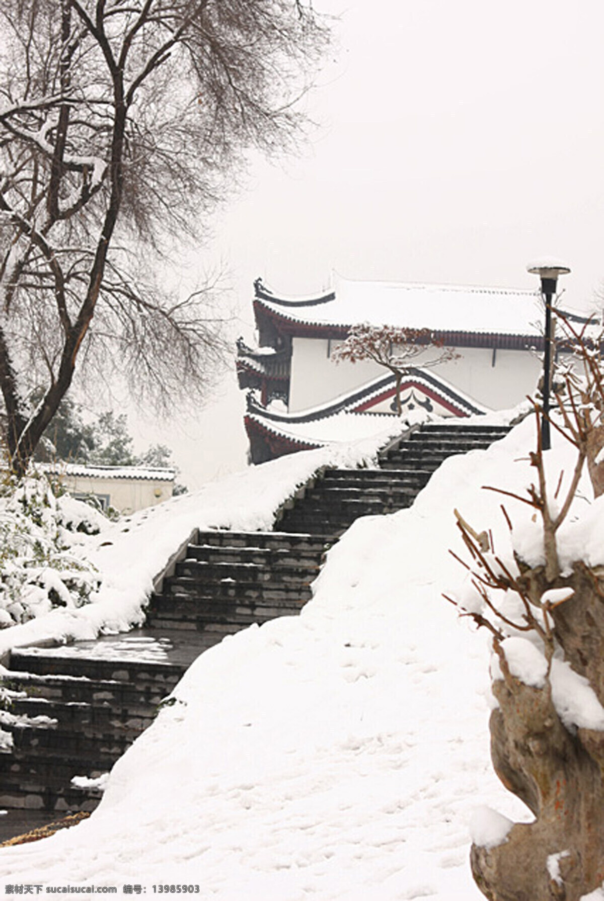 雪景免费下载 冰河 房子 风景 枯树 摄影图库 树木 雪地 雪景 自然风景 自然景观 卡通 动漫 可爱