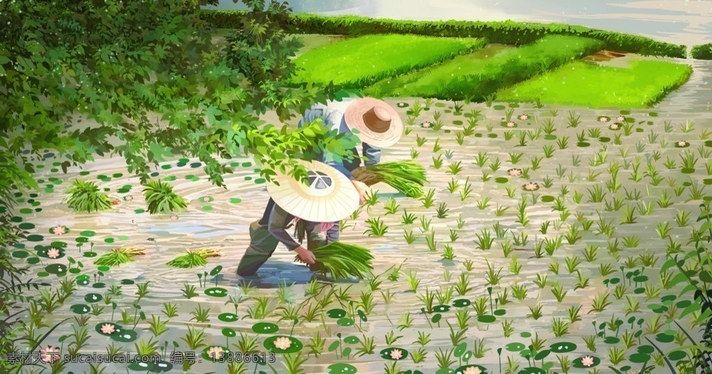 插秧图片 插秧 农耕 梯田 农田 插画 手绘 水稻 大米 农业 分层 人物