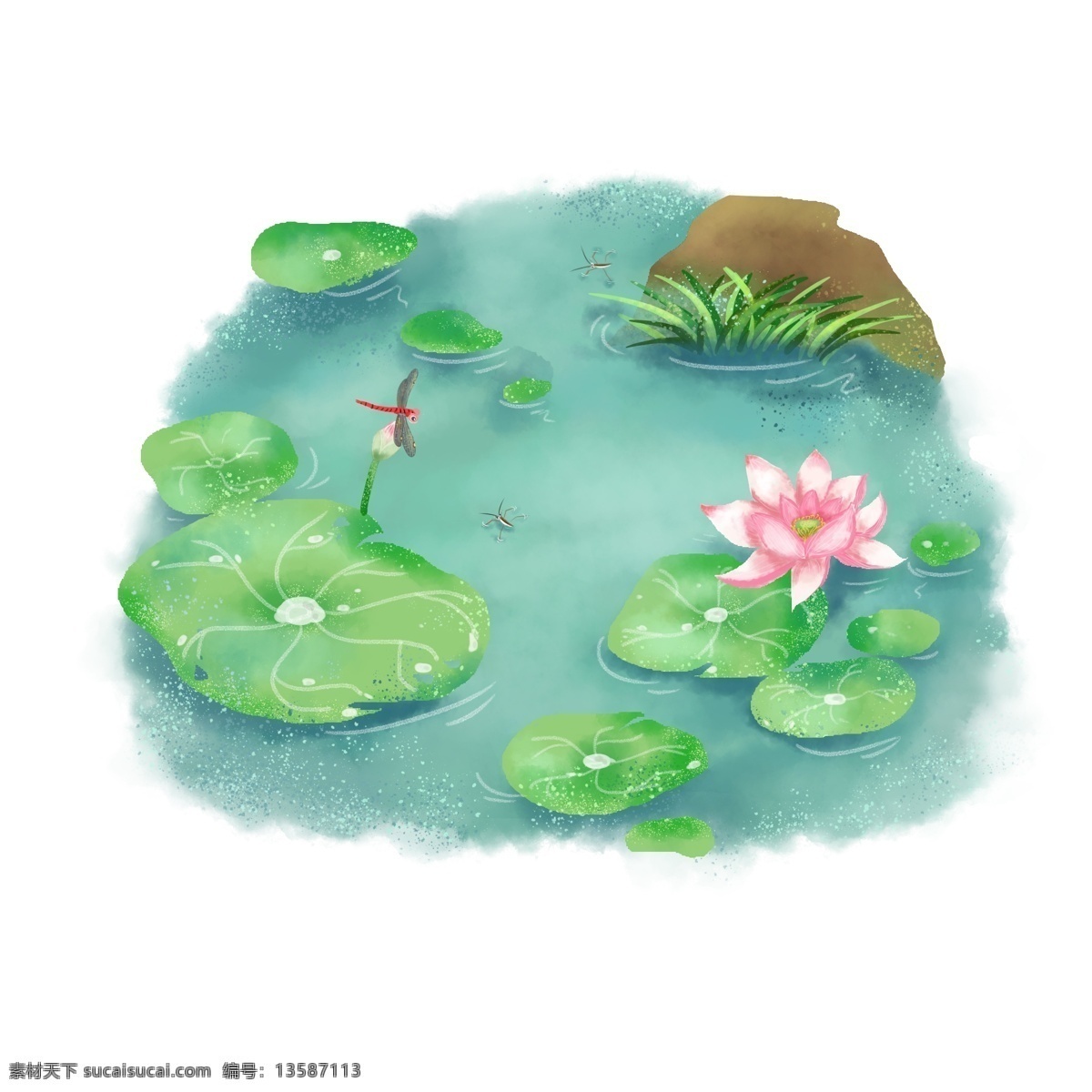 夏天 立夏 小 清新 荷花 荷叶 蜻蜓 水 黾 元素 夏季 小清新 水黾 水草 石头 绿色 粉红色 棕色