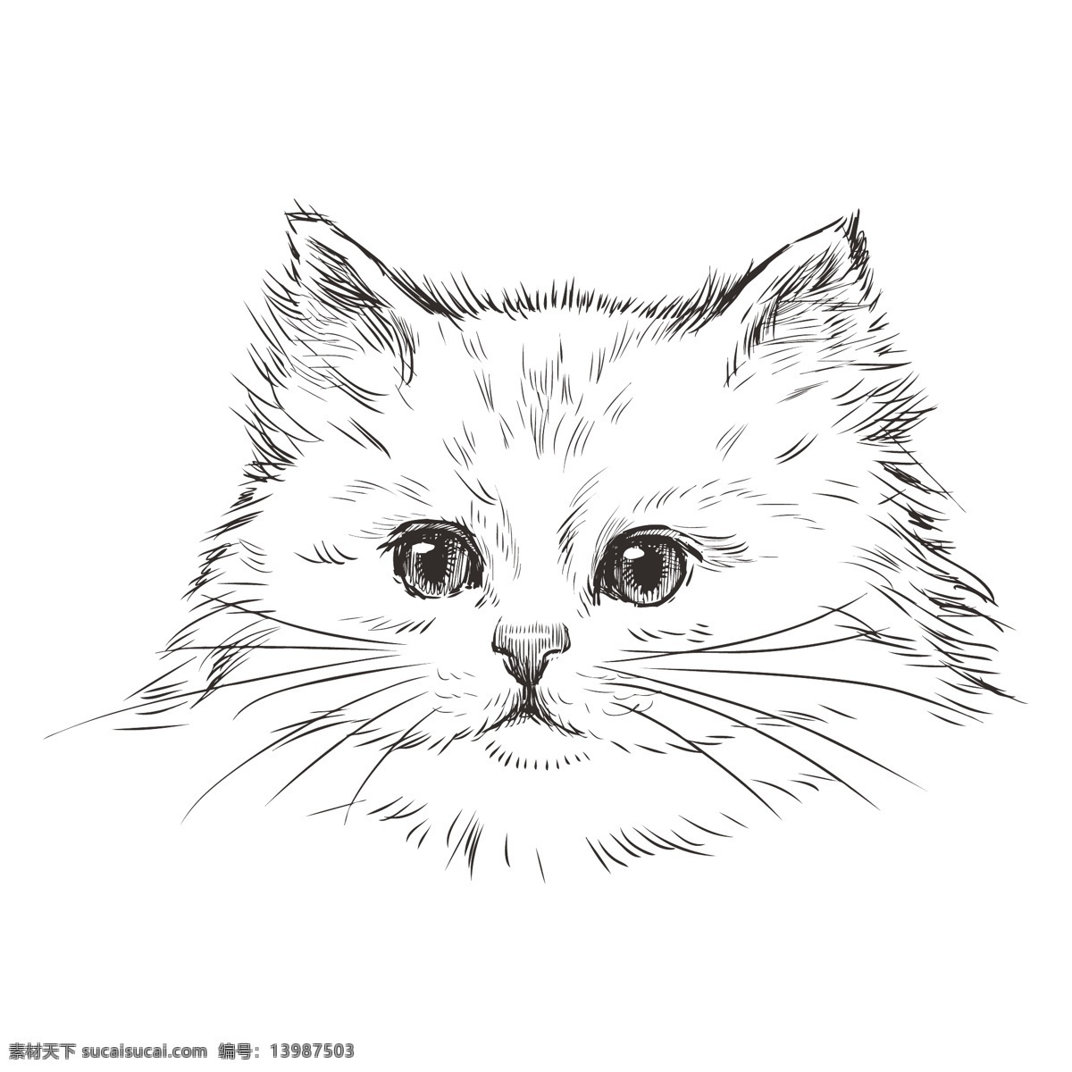 卡通 矢量 黑白 手绘 可爱 猫 商业 装饰 图案 元素 黑 白 装饰图案 创意设计 排版 排版设计