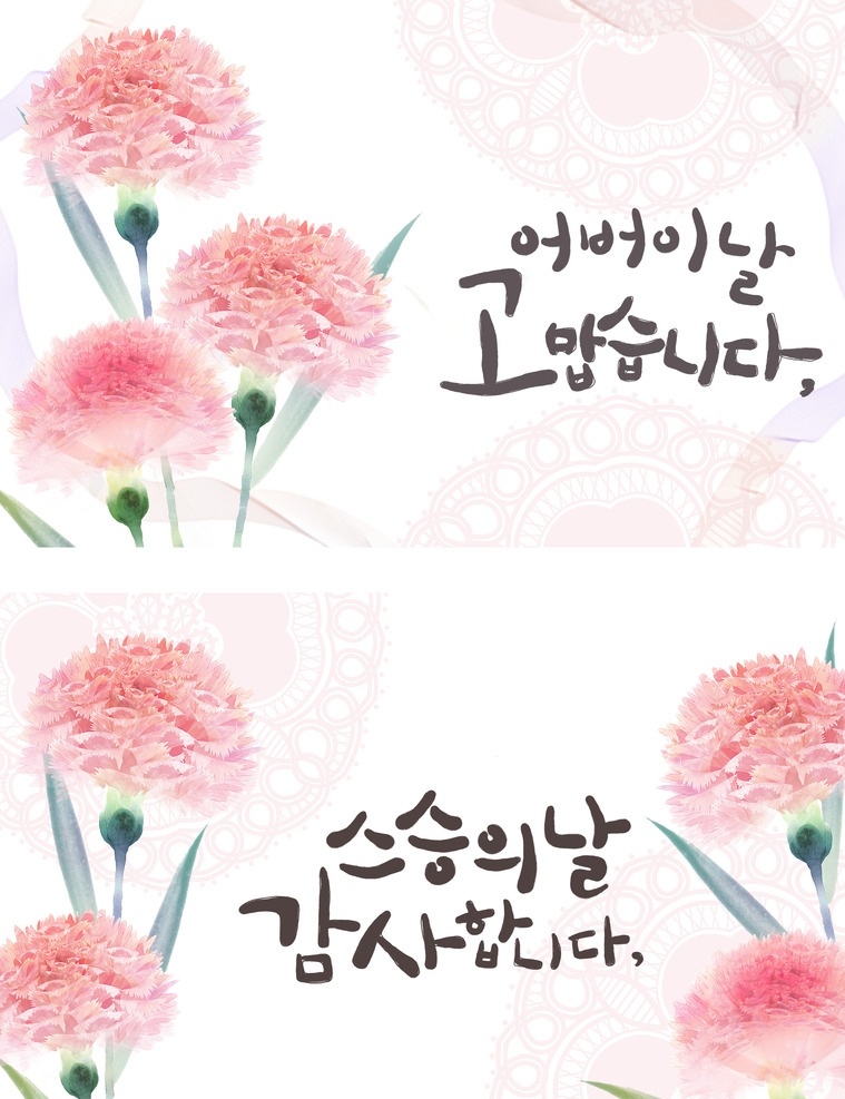 康乃馨插画 康乃馨 插画 韩国 粉嫩 梦幻 分层