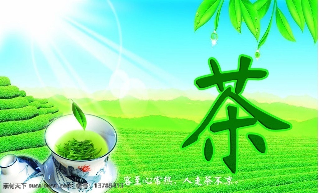 茶图 茶叶 杯子 环境 其他模版 广告设计模板 源文件