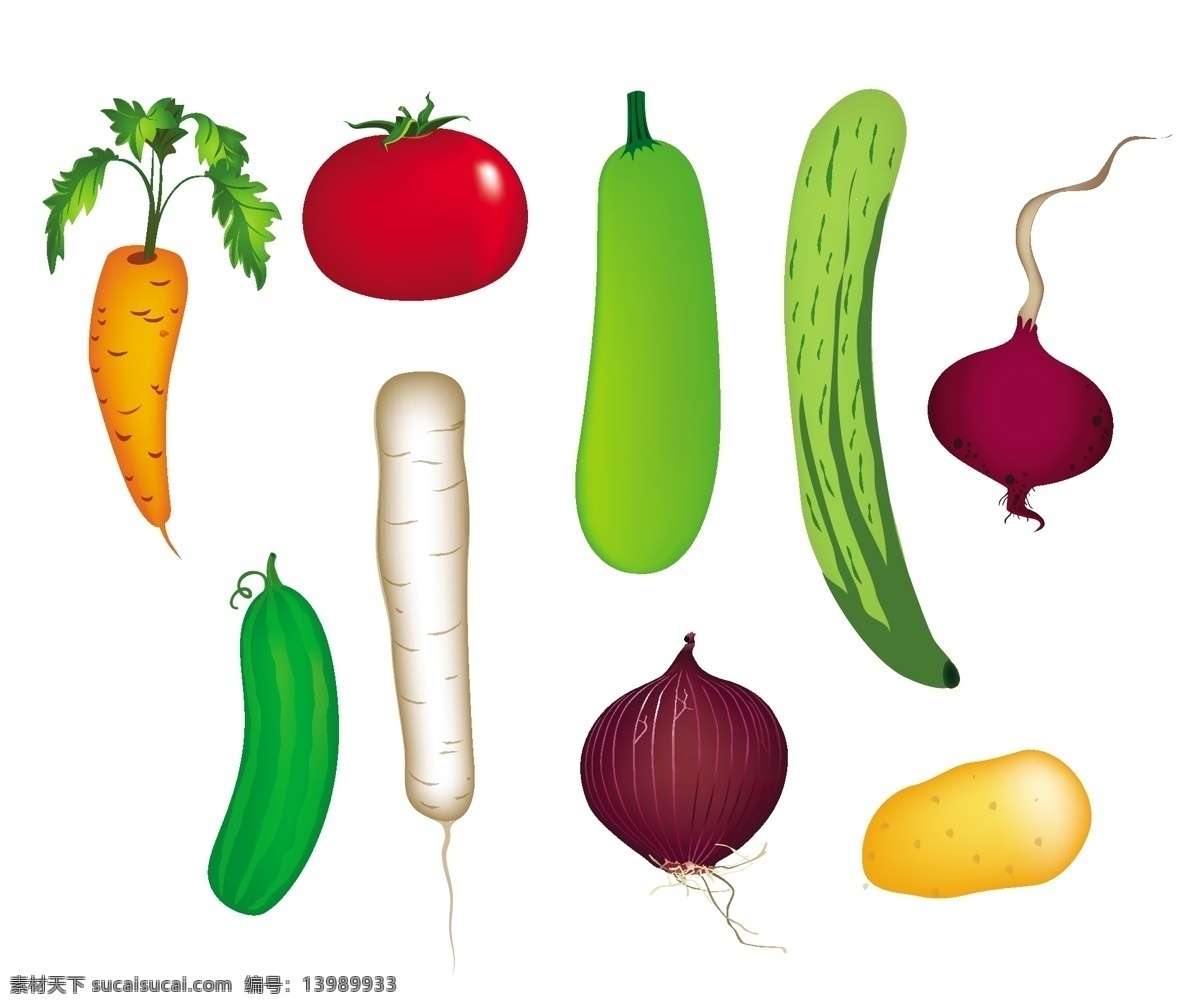 面条 沙拉 自由 沙拉向量 蔬菜沙拉 汤沙拉 蔬菜沙拉向量 向量 水果 蔬菜 艺术片 免费 载体 绿色沙拉 西红柿 胡萝卜 夹 艺术 矢量图 其他矢量图